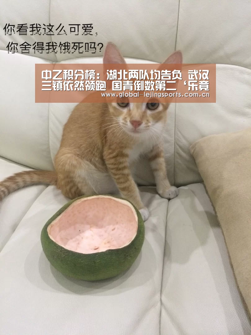 乐竟官网